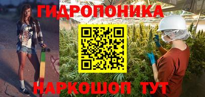 ECSTASY Будённовск