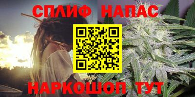ECSTASY Будённовск