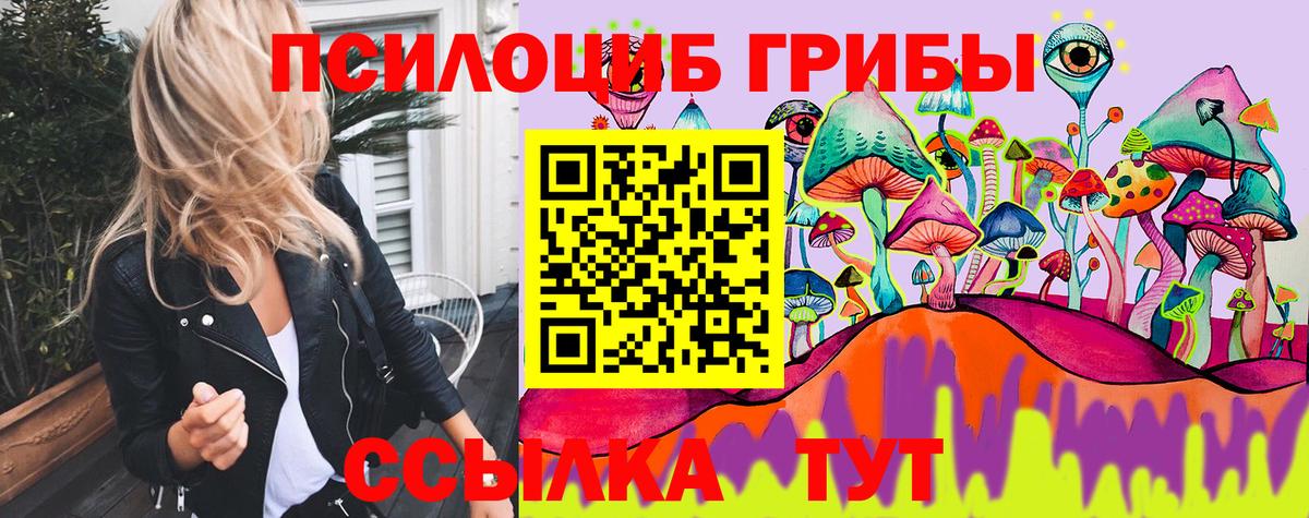Тельмана  Галлюциногенные грибы Psilocybine cubensis  Галлюциногенные грибы прущие грибы  Вход с VPN 