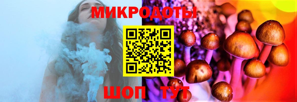Псилоцибиновые грибы мицелий Тельмана